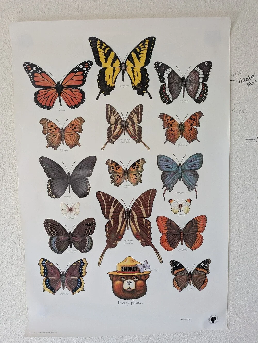 Vintage Butterfly Smokey Bear Poster 20x30
